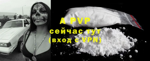 эйфоретик Ельня