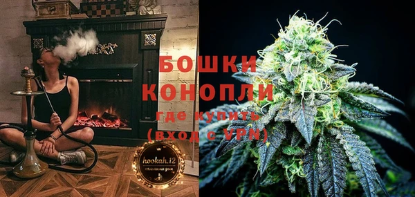 эйфоретик Ельня