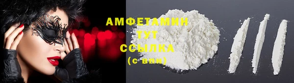 эйфоретик Ельня