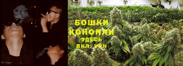 СК Елабуга