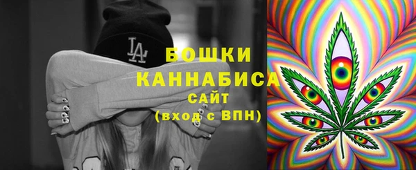 молекула духа Елизово