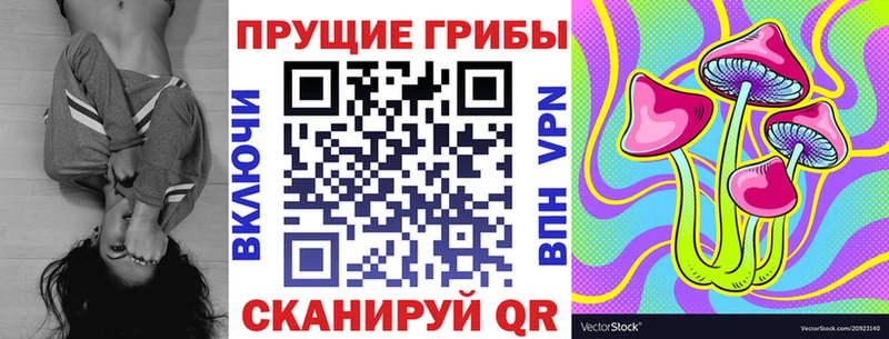 нарко площадка официальный сайт  Топки  Псилоцибиновые грибы Psilocybine cubensis 